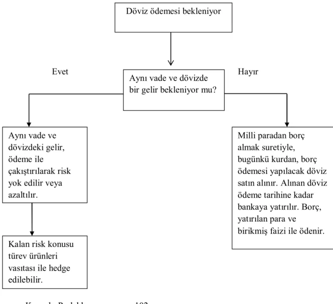 Şekil 2.2.: Döviz Ödemesi Çakıştırma Hedgingi   