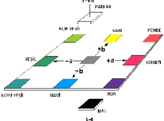 Şekil 1. CIELAB–76 renk alanları ve renk sistemleri  3.  BULGULAR 