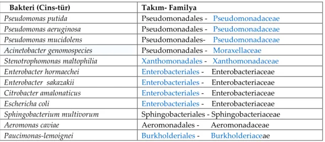 Çizelge 3.1 İzole edilen bakterilerin cins-tür-takım-familyaları 