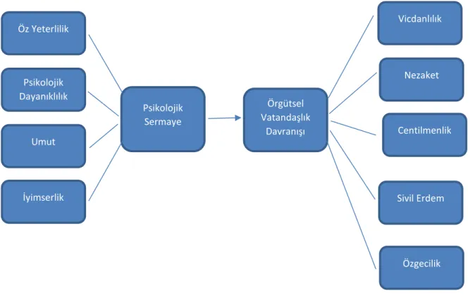 Şekil 1. Araştırmanın Modeli  