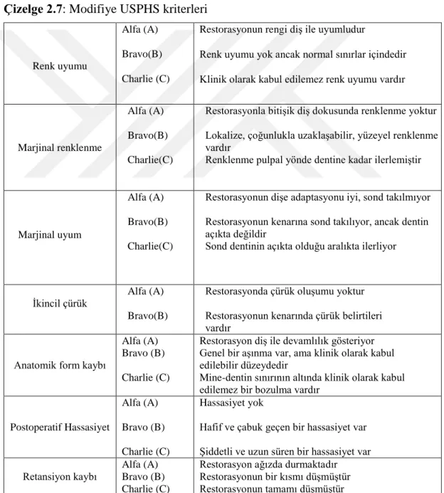 Çizelge 2.7: Modifiye USPHS kriterleri 
