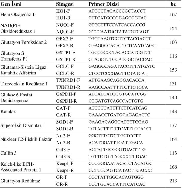 Çizelge 2.1. Primerlerin gen isimleri, singeleri, dizileri ve ürün boyutları (bç).  