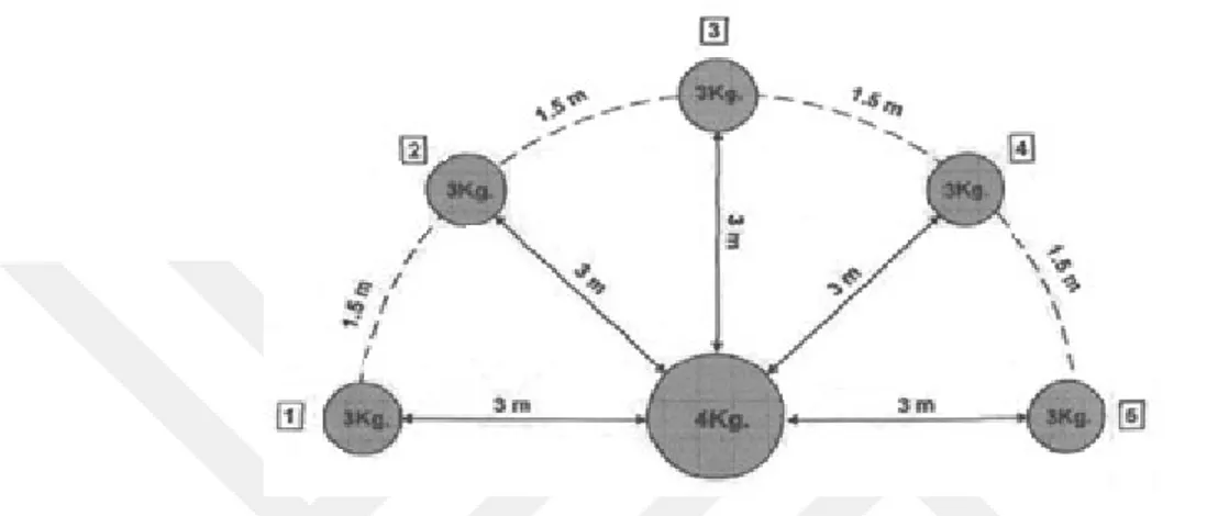 Şekil 2.1. Numaralandırılmış sağlık topu koşu testi (Chib 2000; Minz 2003; Singh 2004)