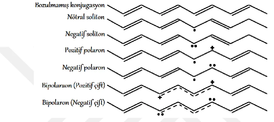 Şekil 1.6. Soliton, polaron, bipolaron ve formlarının poliasetilen polimer zincir üzerindeki gösterimi 