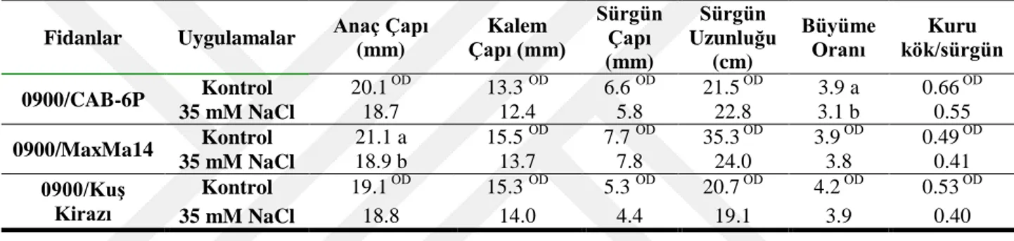 Çizelge 4.8.Uygulamaların fidanların morfolojik gelişimine etkileri (1. yıl)  Fidanlar  Uygulamalar  Anaç Çapı 