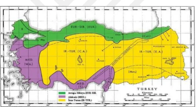 Şekil 3.1. Türkiye’deki bitki coğrafyası bölgeleri ve anadolu diyagonali (Gökyiğit, 2013) 