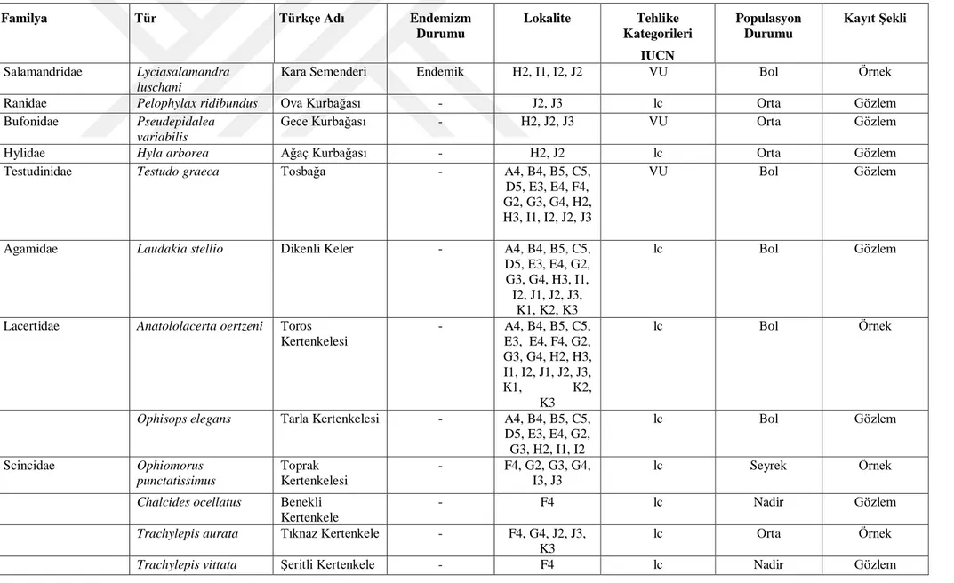 Çizelge 3.10. Kaş-Kekova Bölgesi’nde tespit edilen ikiyaşamlı ve sürüngen türleri(ÖÇKKB, 2010)