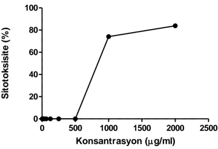 Şekil  4.3.  Vero  hücreleri  üzerine  Ballota  glandulosissima  metanol  ekstraktının  XTT  yöntemi ile belirlenen sitotoksik aktivitesi (MNTK: 500 µg/ml; CC 50 =863.79 µg/ml)
