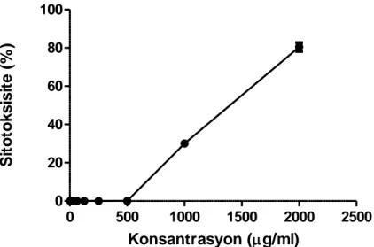 Şekil 4.4. Vero hücreleri üzerine Ballota glandulosissima su ekstraktının XTT yöntemi  ile  belirlenen  sitotoksik  aktivitesi  (MNTK:  500  µg/ml;  CC 50 =1302.20  µg/ml)