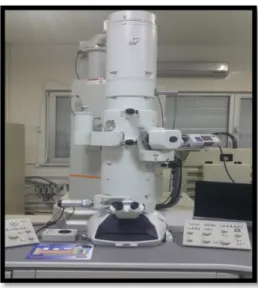 Figure 12. Atomic Force Microscopy 