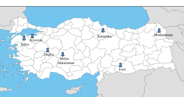 Şekil 3.1. Çalışmada kullanılan koyun ırklarının kanlarının elde edildiği bölgeler Kıvırcık Malya İvesi Sakız Akkaraman Dağlıç Karayaka  Morkaraman 