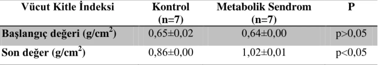 Çizelge  3.1.  Metabolik  Sendrom  OluĢturulan  Ratların  Vücut  Kitle  Ġndeksi  (VKĠ)  Değerleri (Ortalama± SE)