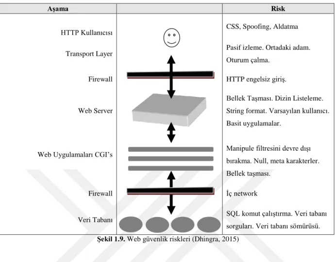 Şekil 1.9. Web güvenlik riskleri (Dhingra, 2015) 