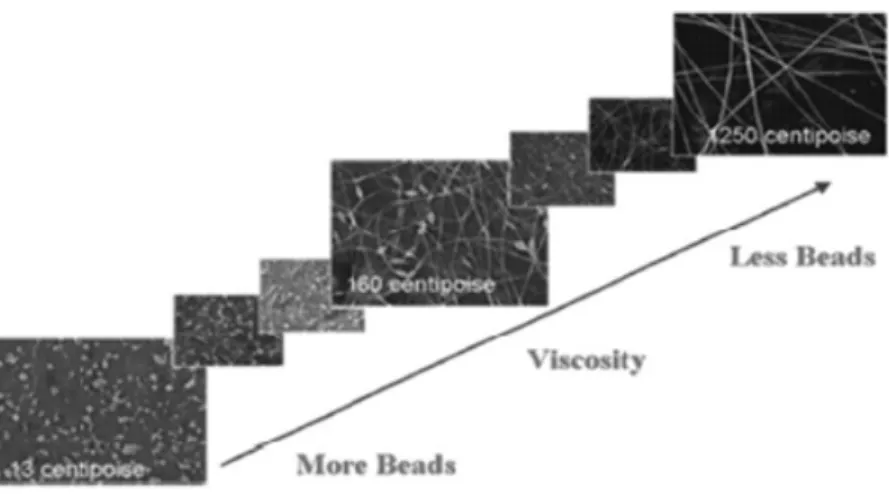 Figure 3.6. SEM photographs of electrospun nanofibers from different polymer concentration solutions  (Fong et al., 1999) 