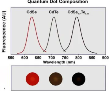 Şekil  1.7.’de  görüldüğü  gibi  farklı  partikül  büyüklüğüne  sahip  ve  400-700  nm  arasında  dalga  boyu  olan  CdSe  nanopartikülleri  oluşmaktadır