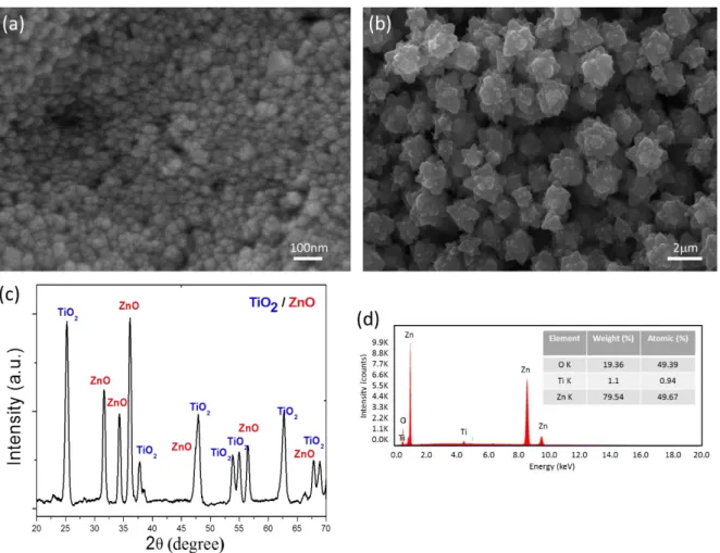 Figure 3. Top view SEM images of (a) TiO2 and (b) ZnO nanostructures. (c) XRD spectra of  TiO2/ZnO hybrid structures in the photoanode region where we see the characteristic peaks of both  TiO2 and ZnO