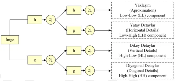 Şekil 3.4. 2B imgenin birinci seviye çözünürlük üzerinden alt frekans bantlarına ayrıştırılması 