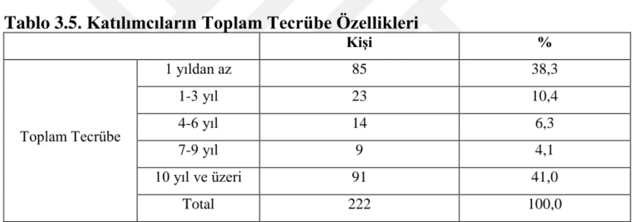 Tablo 3.5. Katılımcıların Toplam Tecrübe Özellikleri 