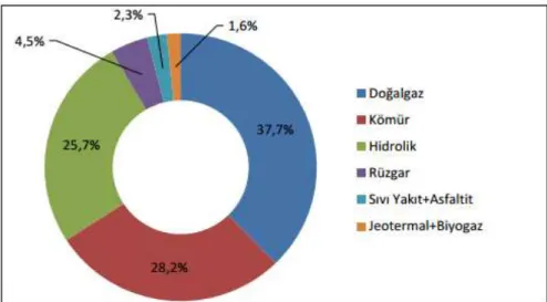 Figure 2. Electricity generation and consumption of Turkey according to the resources – End of July, 2016 