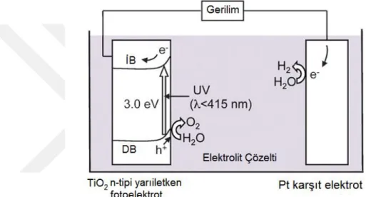 ġekil 2.1. Suyun ayrışması reaksiyonunda TiO 2   yarıiletken  fotoelektrotun  kullanımı  (Fujishima  ve Honda, 1972) 