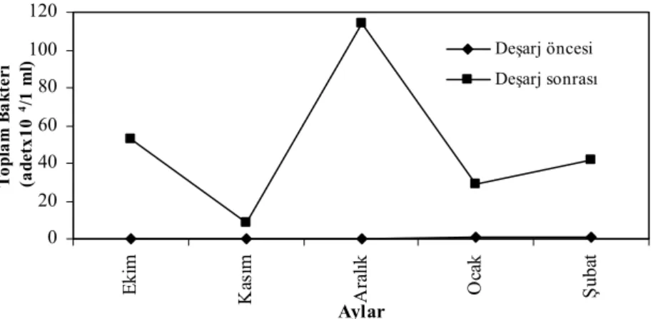 Figure 6. Total coliform values before and after discharge into Kehli Stream. 