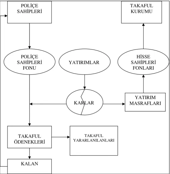Şekil 4. Mudaraba Tabanlı Takaful Modeli 