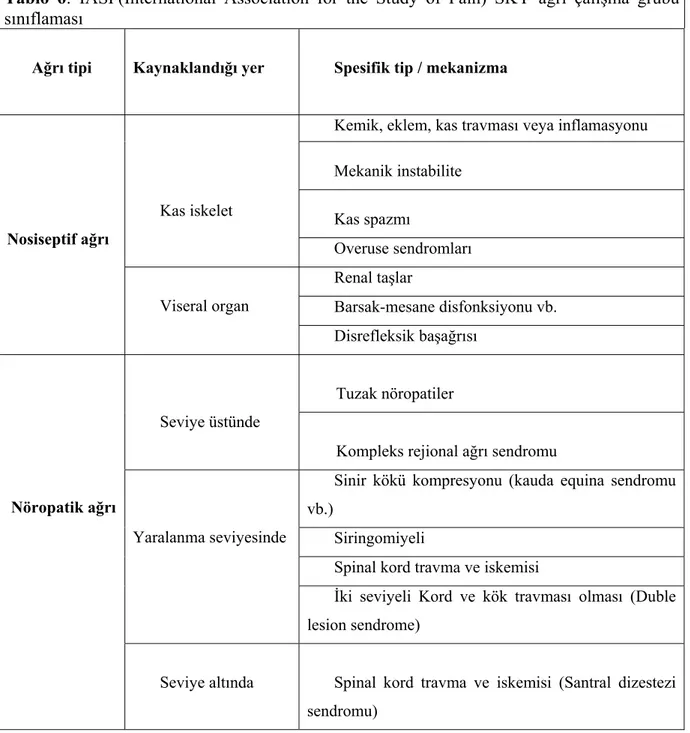 Tablo 6: IASP(International Association for the Study of Pain) SKY ağrı çalışma grubu  sınıflaması