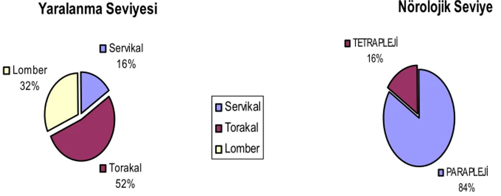 Şekil 7. Çalışmayı tamamlayan hastaların radyolojik ve nörolojik seviyeleri 