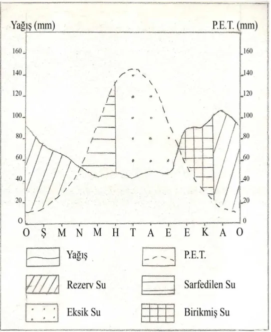 Şekil 8. Gebze’nin Su Bilançosu Diyagramı (Thornthwhite’ a Göre)