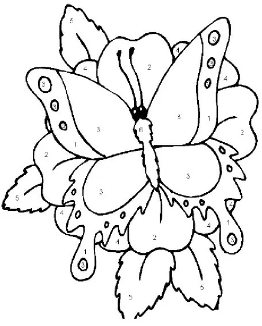 Figure 8. Coloring 