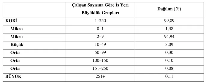 Tablo  2’den  de  görüldüğü  gibi  kobiler  içinde  en  önemli  pay  (%96)  mikro  ölçekli  işletmelerindir