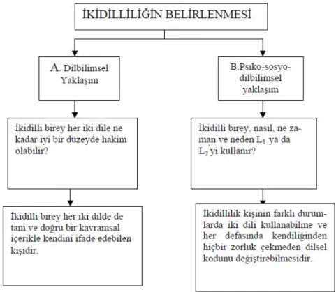 Tablo 3.İki dilliliğin tanımlarının kategorize edilmesi (Triarhé-Herrmann, 2000) 