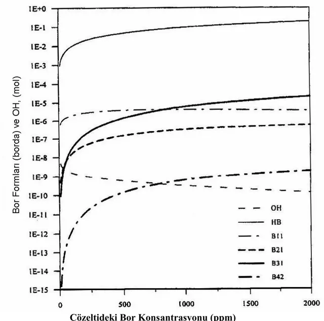 Şekil  1.5.  10  ºC`de  Bor  Konsantrasyonun  Fonksiyonu  Olarak,  Sulu  Borik  Asit Çözeltisindeki Anyonik Türlerin Konsantrasyonu 