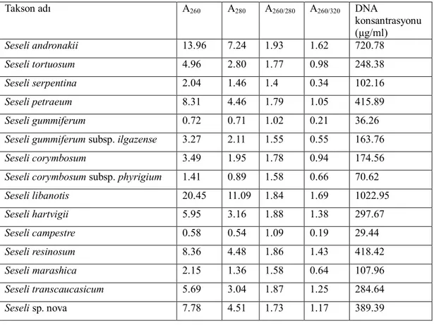 Çizelge 5.1. İncelenen örneklerin DNA yoğunlukları ve spektro değerleri. 