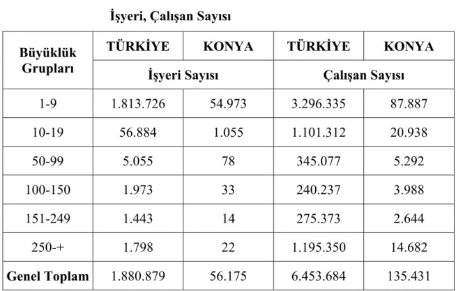 Tablo 16: Türkiye Geneli ve Konya İlinde Firma Ölçeğine Göre  İşyeri, Çalışan Sayısı 