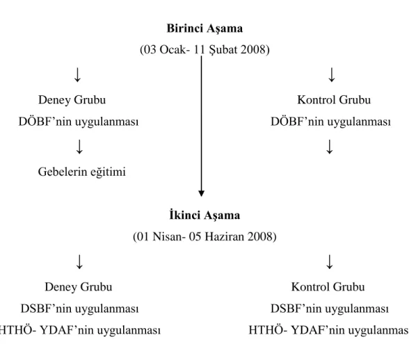 ġekil 1. Veri Toplama ve Eğitim Uygulama Süreci 