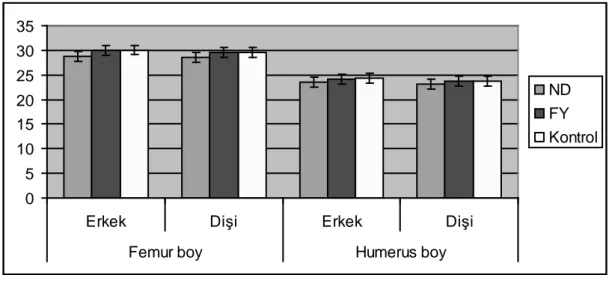Çizelge  3.1.  Femur  ve  Humerus  Kemiklerinin  Boy  Uzunluklarının  Karşılaştırılması (mm) (Mean±SD) 