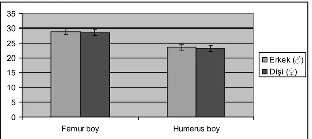 Şekil 3.1.1. Nandrolon Grubunun Femur ve Humerus Kemiklerinin Boy  Uzunluğunun Cinsiyete Karşılaştırılması 