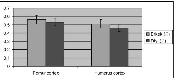 Çizelge 3.3’te nandrolo n,  fıstık  yağı  ve  kontrol  grubu  ratların  femur  ve  humerus kemiklerinin cortex kal ınlıkları  karşılaştırıldı