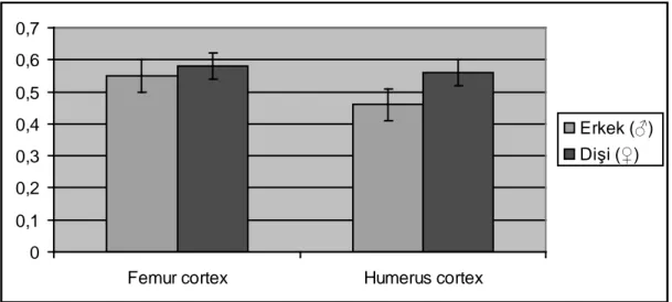 Şekil  3.3.2.  Yağı  Grubuna  ait  Femur  ve  Humerus  Kemikleri  Cortex  Kalınlıklarının Cinsiyete Göre Karşılaştırılması 
