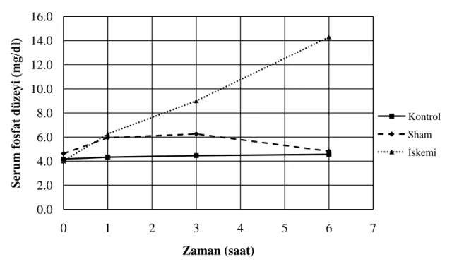 Grafik 4: Serum fosfat düzeylerinin zamanla değişimi 