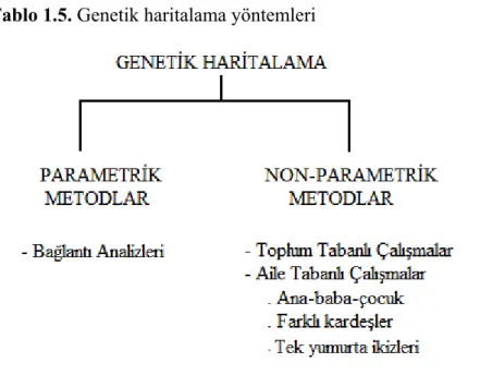 Tablo 1.5. Genetik haritalama yöntemleri 