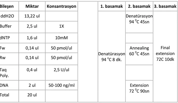 Tablo 2.2. PZR reaksiyon bileĢenleri ve reaksiyon koĢulları