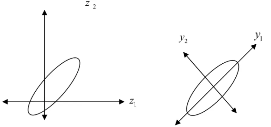 Şekil 2.1.  Temel Bileşenler Dönüşümünün Đki Boyutlu Uzayda Gösterimi           Y tesadüfi vektörünün beklenen değer ve kovaryans matrisi  