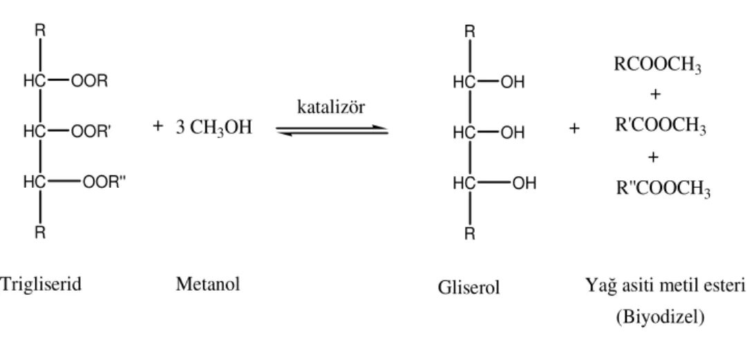Şekil 2. 2. Trigliserid (yağ)’ın Metanol ile Katalizör Esterleşme Reaksiyonu        