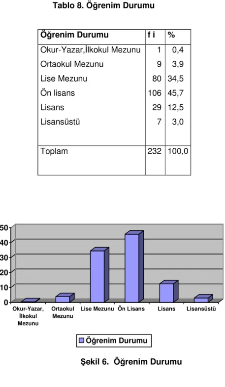 Tablo 8. Öğrenim Durumu 