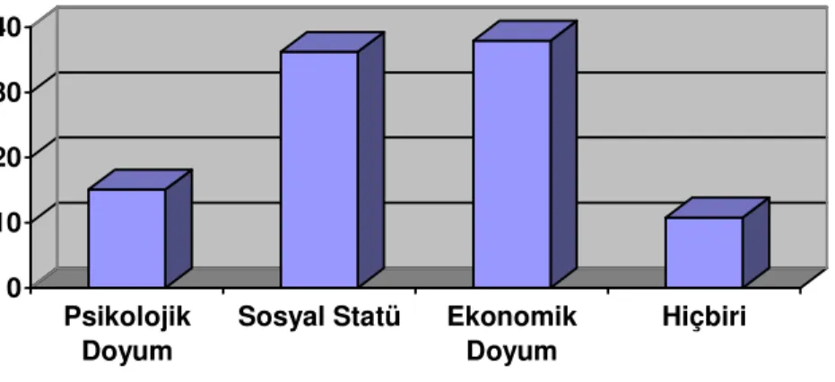 Şekil 10. Meslekten elde edilen doyum 
