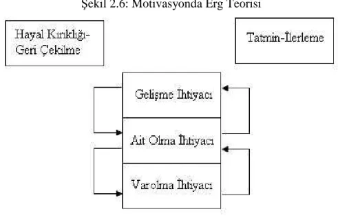 Şekil 2.6: Motivasyonda Erg Teorisi 
