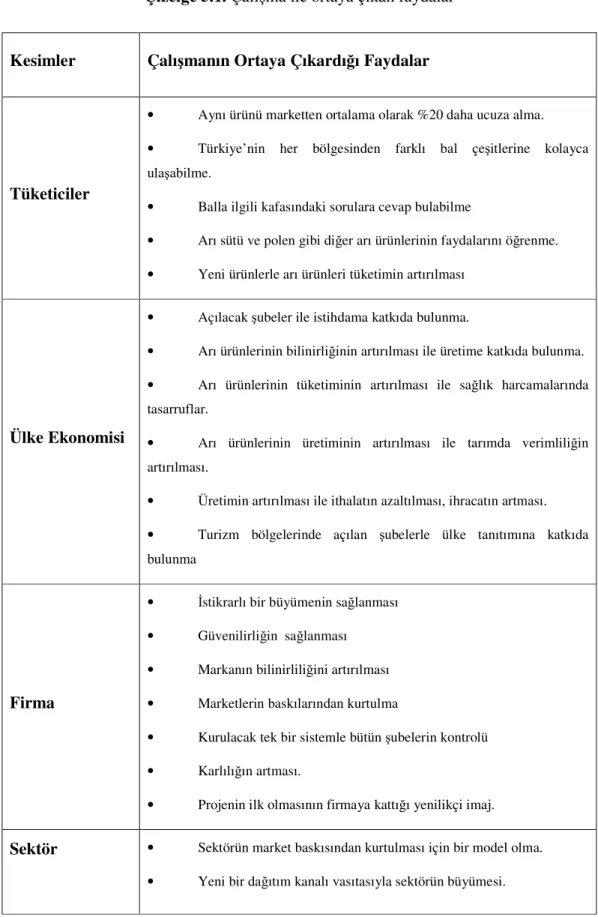 Çizelge 5.1. Çalışma ile ortaya çıkan faydalar 