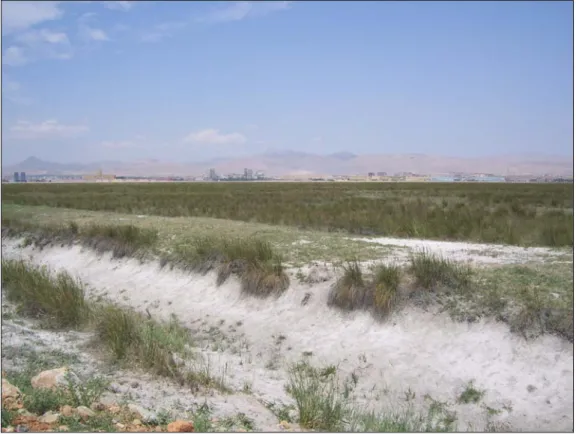 Foto 2.11: Aslım Bataklığı’nın Günümüzdeki Durumu ve Kurutma Kanalı. Arka kesimde  kentin batısını oluşturan dağlık kesim 